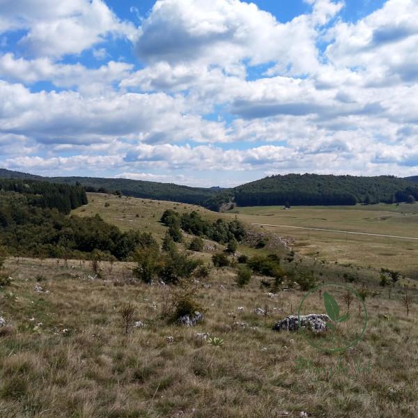 Podela imanja na zone - Rtanjski Vrt
